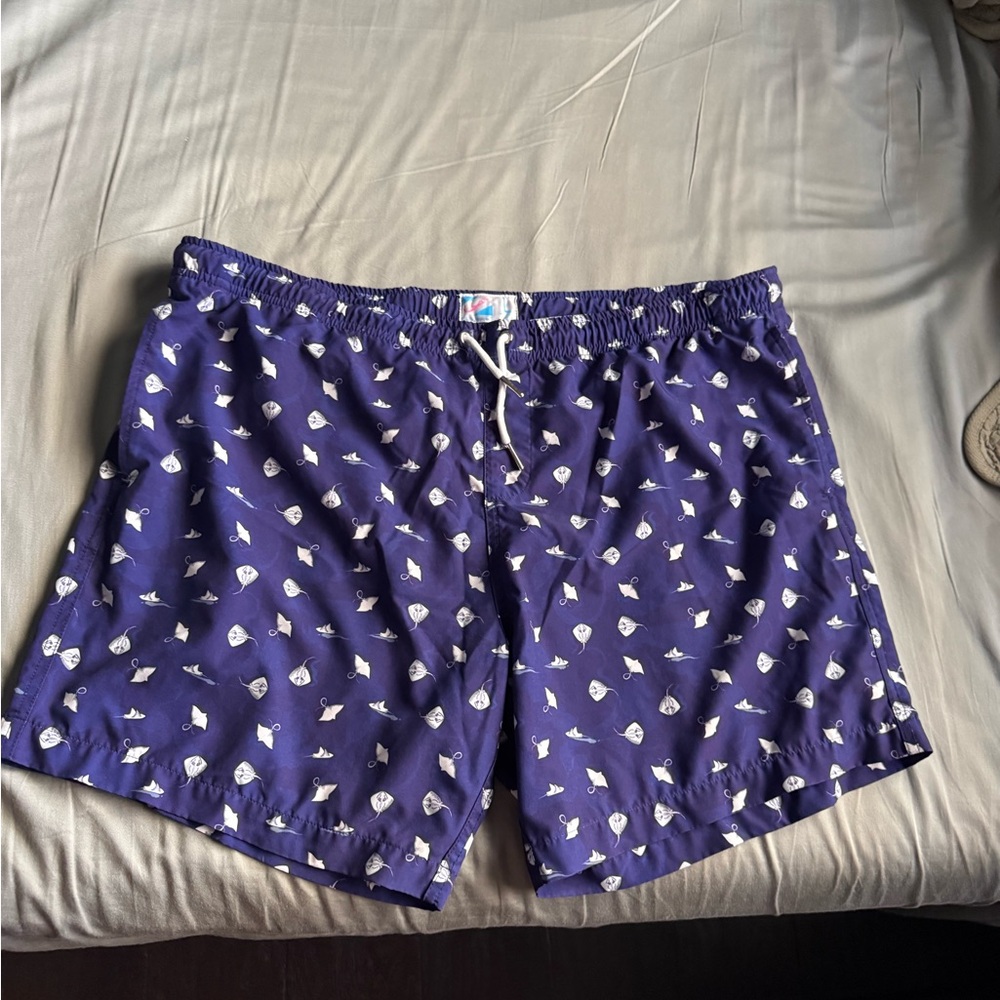 Bermie’s Sting Ray Patterned Blue Men Shorts